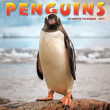 Penguins 2017 Wall Calendar - Willow Creek Press