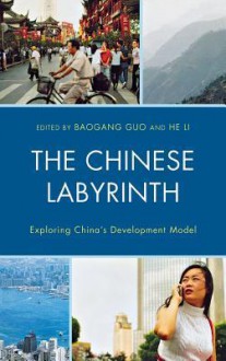 The Chinese Labyrinth: Exploring China's Model of Development - Baogang Guo, He Li