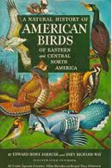 A Natural History Of American Birds Of Eastern And Central North America - Edward Howe Forbush, John Bichard May