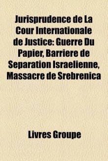 Jurisprudence De La Cour Internationale De Justice - Livres Groupe