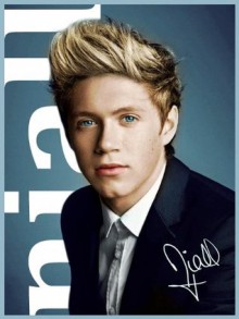 NIALL HORAN - How Well Do You Know Niall? The Ultimate Fact Guide For One Direction Fans - Kelly Johnson