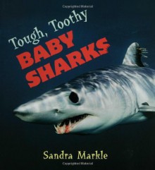 Tough, Toothy Baby Sharks - Sandra Markle