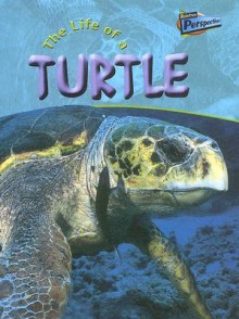 The Life of a Turtle - Clare Hibbert