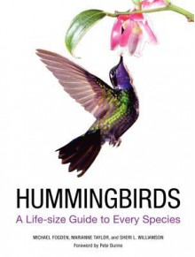 Hummingbirds: A Life-Size Guide to Every Species - Michael Fogden, Patricia Fogden