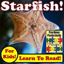 Children's Book: "Starfish! Learn About Starfish While Learning To Read - Starfish Photos And Facts Make It Easy!" (Over 45+ Photos of Starfish) - Monica Molina