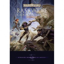 Cadı Kral'ın Vaadi (Forgotten Realms: The Sellswords, #2) - R.A. Salvatore