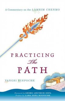 Practicing the Path: A Commentary on the Lamrim Chenmo - Yangsi Rinpoche, Dalai Lama XIV, Yangsi, Lhundub Sopa