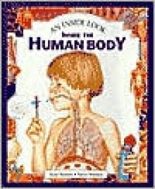 Inside the Human Body - Kate Barnes