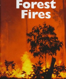 Forest Fires - Patrick Merrick