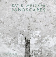 Ray K. Metzker: Landscapes - Ray K. Metzker, Philadelphia Museum of Art