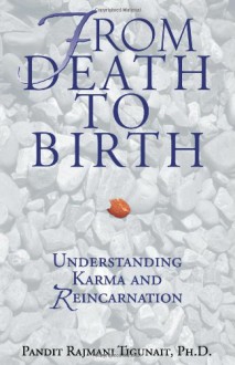 From Death to Birth: Understanding Karma and Reincarnation - Pandit Rajmani Tigunait