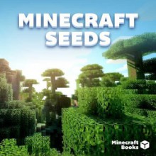 100 Awesome Minecraft Seeds That You NEED to Know! - Minecraft Books