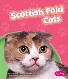 Scottish Fold Cats - Connie Colwell Miller