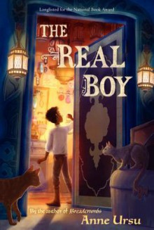 The Real Boy - Anne Ursu, Erin Mcguire