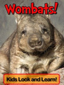 Wombats! Learn About Wombats and Enjoy Colorful Pictures - Look and Learn! (50+ Photos of Wombats) - Becky Wolff