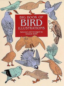 Big Book of Bird Illustrations - Maggie Kate