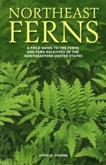 Northeast Ferns: A Field Guide to the Ferns and Fern Relatives of the Northeastern United States - Steve W Chadde