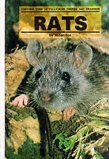 Rats - Sue Fox