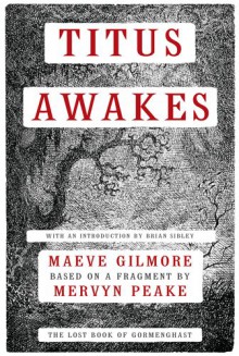 Titus Awakes: The Lost Book of Gormenghast - Maeve Gilmore, Mervyn Peake, Brian Sibley