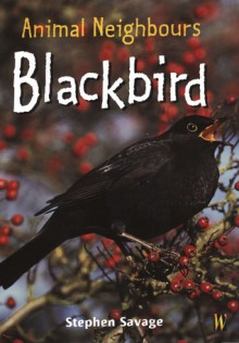 Blackbird - Stephen Savage