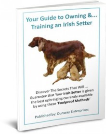 The Irish Setter Dog Lovers Guide: Discover Secrets the that will Guarantee that Your Irish Setter is given the best upbringing currently available by using these 'Foolproof Methods' - Ken Dunn