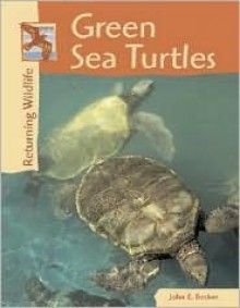 Green Sea Turtles (Returning Wildlife) - John E. Becker