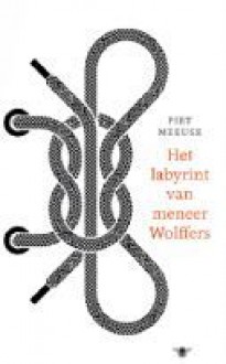 Het labyrint van meneer Wolffers - Piet Meeuse