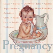 The Little Big Book of Pregnancy - Lena Tabori