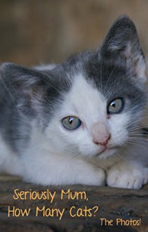 Seriously Mum, How Many Cats? The Photos! (Seriously Mum, The Photobooks! Book 3) - Alan Parks