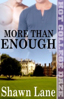 More Than Enough - Shawn Lane