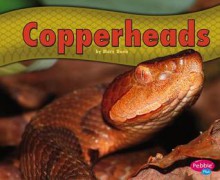 Copperheads - Mary R. Dunn