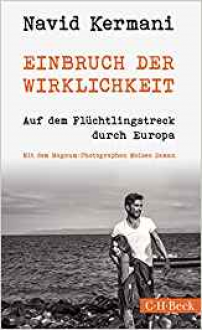 Einbruch der Wirklichkeit: Auf dem Flüchtlingstreck durch Europa - Navid Kermani, Moises Saman