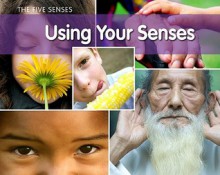 Using Your Senses (The Five Senses: Acorn Read-Aloud, Level M) - Rebecca Rissman