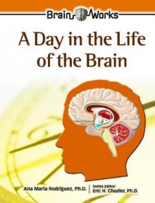 A Day in the Life of the Brain - Ana Maria Rodriguez