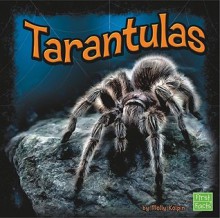 Tarantulas - Molly Kolpin