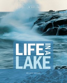 Life in a Lake - Melissa Stewart