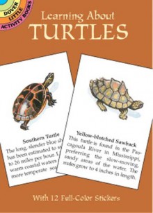 Learning About Turtles - Jan Sovak