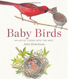Baby Birds: An Artist Looks into the Nest - Julie Zickefoose