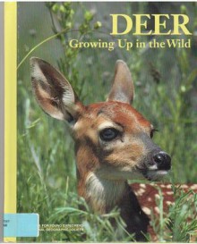 Deer Growing Up In The Wild - Judith E. Rinard