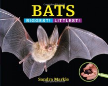 Bats: Biggest! Littlest! - Sandra Markle