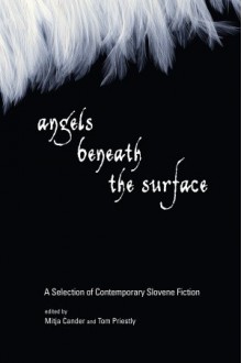 Angels Beneath the Surface: A Selection of Contemporary Slovene Fiction - Aleš Šteger, Mitja Čander