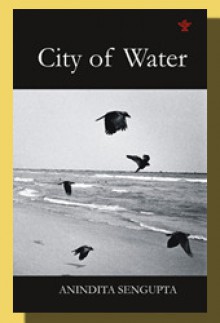 City of Water - Anindita Sengupta