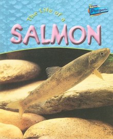 The Life of a Salmon - Clare Hibbert