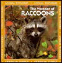 The Wonder of Raccoons - Jeff Fair