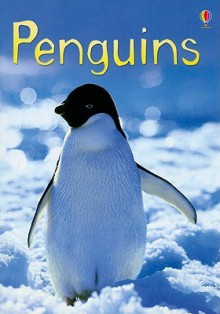 Penguins (Usborne Beginners) - Emily Bone