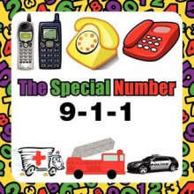 The Special Number - Janet Arnold