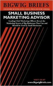 Small Business Internet Advisor: Industry Experts Reveal the Secrets to Internet Marketing, Bizdev, Legal Issues, Ecommerce and Other Important Topics Facing E Very Small Business Doing Business on the Internet - Aspatore Books, Bigwig Briefs Staff, BigwigBriefs.com