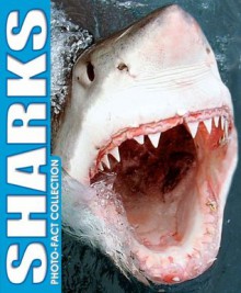 Sharks Photo Fact Collection - Kidsbooks Staff