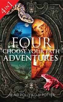 Box Set: Four Choose Your Own Path Adventures: Pirate Island, In the Magician's House, Lost in Lion Country, Once Upon an Island - DM Potter, Blair Polly