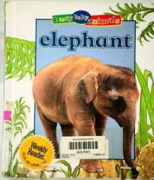 Elephant (Busy Baby Animals) - Jinny Johnson